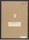 Rhaphoneis lancettula Grun. (de-Toni-Nr.: Genus 78, Species 2839) Zeichnungen Sammlung Grunow Nr. 5796 (NHMW-BOT-W0374204)